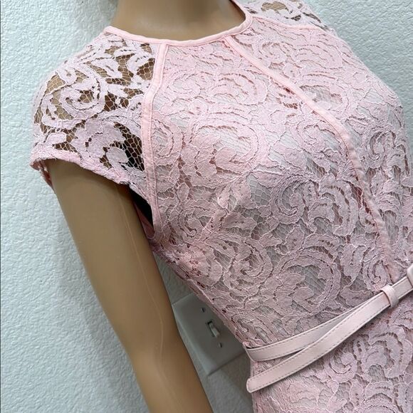 Eva Mendes New York Co Pink Lace A Line Flutter Short Sleeve Midi Dress Sz 4 - Picture 4 of 17